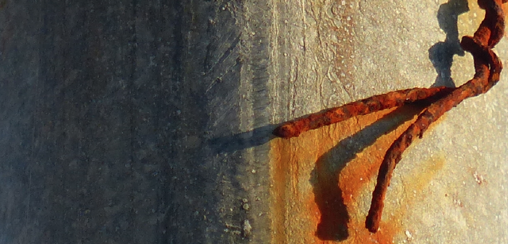 Photographie et cinématographie de Manon Plezent