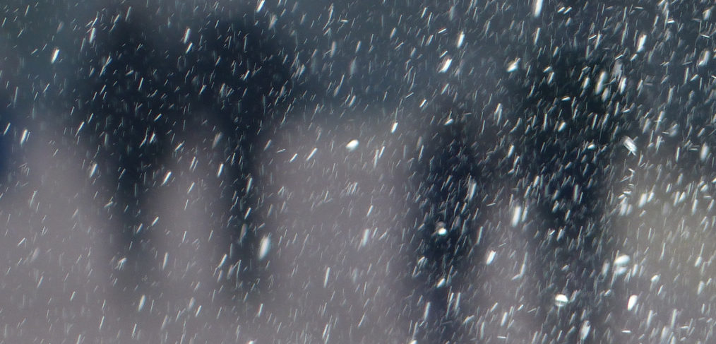 Photographie et cinématographie de Manon Plezent